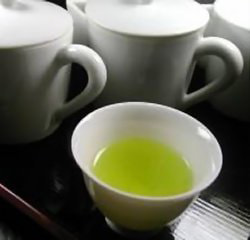 緑茶・カテキン